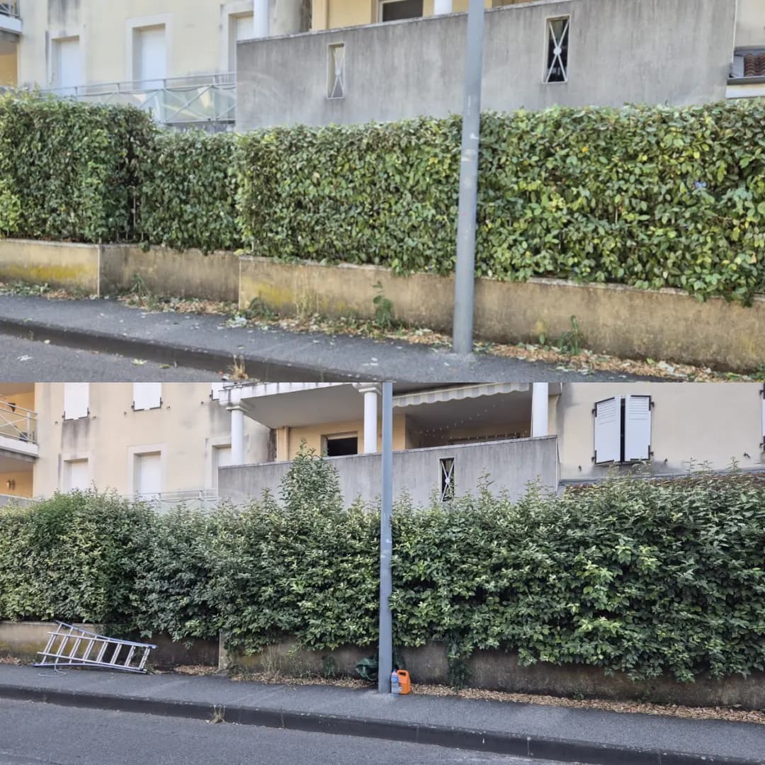 Avant et après la taille des haies d'une copropriété à Albertville